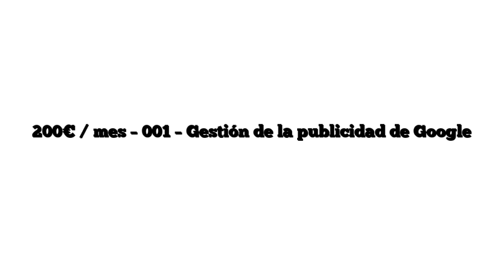 200€ / mes – 001 – Gestión de la publicidad de Google